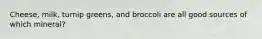 Cheese, milk, turnip greens, and broccoli are all good sources of which mineral?