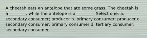 A cheetah eats an antelope that ate some grass. The cheetah is a ________, while the antelope is a ________. Select one: a. secondary consumer; producer b. primary consumer; producer c. secondary consumer; primary consumer d. tertiary consumer; secondary consumer