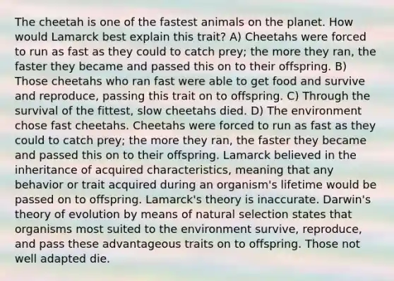 The cheetah is one of the fastest animals on the planet. How would Lamarck best explain this trait? A) Cheetahs were forced to run as fast as they could to catch prey; the more they ran, the faster they became and passed this on to their offspring. B) Those cheetahs who ran fast were able to get food and survive and reproduce, passing this trait on to offspring. C) Through the survival of the fittest, slow cheetahs died. D) The environment chose fast cheetahs. Cheetahs were forced to run as fast as they could to catch prey; the more they ran, the faster they became and passed this on to their offspring. Lamarck believed in the inheritance of acquired characteristics, meaning that any behavior or trait acquired during an organism's lifetime would be passed on to offspring. Lamarck's theory is inaccurate. <a href='https://www.questionai.com/knowledge/kTMCIb2e1M-darwins-theory-of-evolution' class='anchor-knowledge'>darwin's theory of evolution</a> by means of natural selection states that organisms most suited to the environment survive, reproduce, and pass these advantageous traits on to offspring. Those not well adapted die.