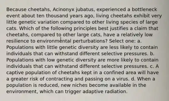 Because cheetahs, Acinonyx jubatus, experienced a bottleneck event about ten thousand years ago, living cheetahs exhibit very little genetic variation compared to other living species of large cats. Which of the following principles best justifies a claim that cheetahs, compared to other large cats, have a relatively low resilience to environmental perturbations? Select one: a. Populations with little genetic diversity are less likely to contain individuals that can withstand different selective pressures. b. Populations with low genetic diversity are more likely to contain individuals that can withstand different selective pressures. c. A captive population of cheetahs kept in a confined area will have a greater risk of contracting and passing on a virus. d. When a population is reduced, new niches become available in the environment, which can trigger adaptive radiation.