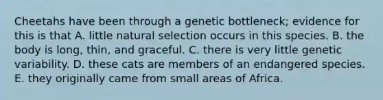 Cheetahs have been through a genetic bottleneck; evidence for this is that A. little natural selection occurs in this species. B. the body is long, thin, and graceful. C. there is very little genetic variability. D. these cats are members of an endangered species. E. they originally came from small areas of Africa.
