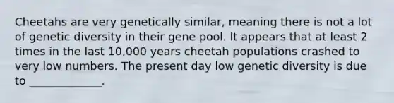 Cheetahs are very genetically similar, meaning there is not a lot of genetic diversity in their gene pool. It appears that at least 2 times in the last 10,000 years cheetah populations crashed to very low numbers. The present day low genetic diversity is due to _____________.