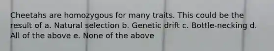 Cheetahs are homozygous for many traits. This could be the result of a. Natural selection b. Genetic drift c. Bottle-necking d. All of the above e. None of the above