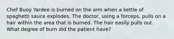 Chef Buoy Yardee is burned on the arm when a kettle of spaghetti sauce explodes. The doctor, using a forceps, pulls on a hair within the area that is burned. The hair easily pulls out. What degree of burn did the patient have?