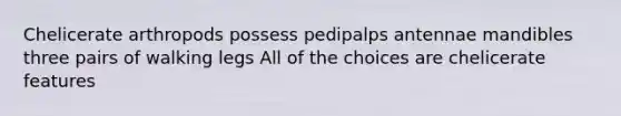 Chelicerate arthropods possess pedipalps antennae mandibles three pairs of walking legs All of the choices are chelicerate features