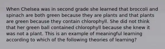 When Chelsea was in second grade she learned that broccoli and spinach are both green because they are plants and that plants are green because they contain chlorophyll. She did not think that her green ball contained chlorophyll because she knew it was not a plant. This is an example of meaningful learning according to which of the following theories of learning?