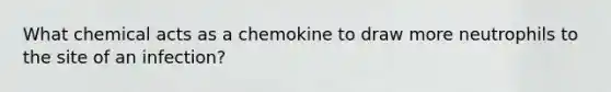 What chemical acts as a chemokine to draw more neutrophils to the site of an infection?