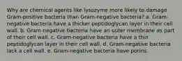 Why are chemical agents like lysozyme more likely to damage Gram-positive bacteria than Gram-negative bacteria? a. Gram-negative bacteria have a thicker peptidoglycan layer in their cell wall. b. Gram-negative bacteria have an outer membrane as part of their cell wall. c. Gram-negative bacteria have a thin peptidoglycan layer in their cell wall. d. Gram-negative bacteria lack a cell wall. e. Gram-negative bacteria have porins.