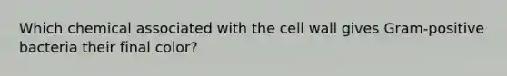 Which chemical associated with the cell wall gives Gram-positive bacteria their final color?