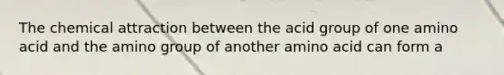 The chemical attraction between the acid group of one amino acid and the amino group of another amino acid can form a