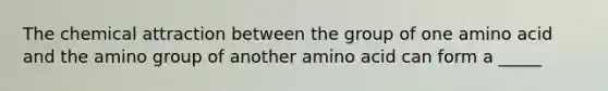 The chemical attraction between the group of one amino acid and the amino group of another amino acid can form a _____