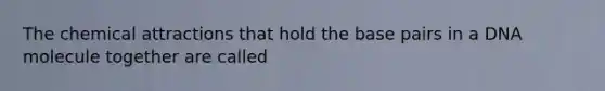 The chemical attractions that hold the base pairs in a DNA molecule together are called