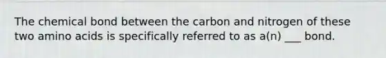 The chemical bond between the carbon and nitrogen of these two <a href='https://www.questionai.com/knowledge/k9gb720LCl-amino-acids' class='anchor-knowledge'>amino acids</a> is specifically referred to as a(n) ___ bond.