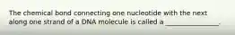 The chemical bond connecting one nucleotide with the next along one strand of a DNA molecule is called a ________________.