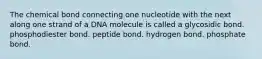 The chemical bond connecting one nucleotide with the next along one strand of a DNA molecule is called a glycosidic bond. phosphodiester bond. peptide bond. hydrogen bond. phosphate bond.