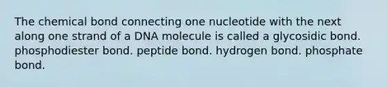 The chemical bond connecting one nucleotide with the next along one strand of a DNA molecule is called a glycosidic bond. phosphodiester bond. peptide bond. hydrogen bond. phosphate bond.