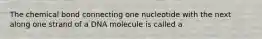 The chemical bond connecting one nucleotide with the next along one strand of a DNA molecule is called a