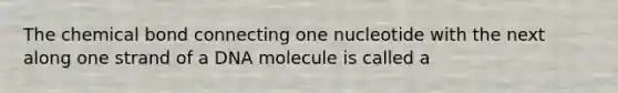 The chemical bond connecting one nucleotide with the next along one strand of a DNA molecule is called a