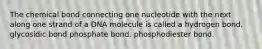 The chemical bond connecting one nucleotide with the next along one strand of a DNA molecule is called a hydrogen bond. glycosidic bond phosphate bond. phosphodiester bond.