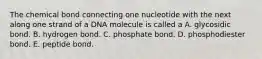 The chemical bond connecting one nucleotide with the next along one strand of a DNA molecule is called a A. glycosidic bond. B. hydrogen bond. C. phosphate bond. D. phosphodiester bond. E. peptide bond.