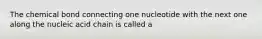 The chemical bond connecting one nucleotide with the next one along the nucleic acid chain is called a