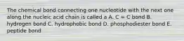 The chemical bond connecting one nucleotide with the next one along the nucleic acid chain is called a A. C = C bond B. hydrogen bond C. hydrophobic bond D. phosphodiester bond E. peptide bond