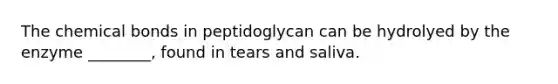 The chemical bonds in peptidoglycan can be hydrolyed by the enzyme ________, found in tears and saliva.