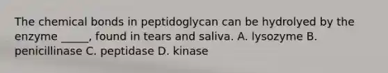 The chemical bonds in peptidoglycan can be hydrolyed by the enzyme _____, found in tears and saliva. A. lysozyme B. penicillinase C. peptidase D. kinase