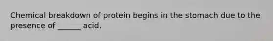 Chemical breakdown of protein begins in the stomach due to the presence of ______ acid.