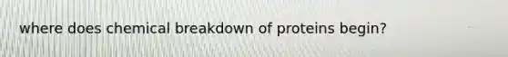 where does chemical breakdown of proteins begin?