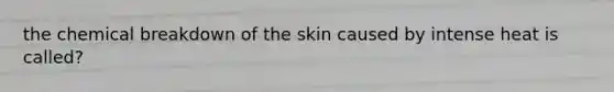 the chemical breakdown of the skin caused by intense heat is called?