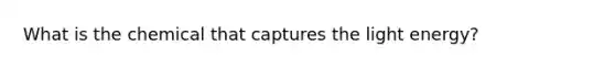 What is the chemical that captures the light energy?