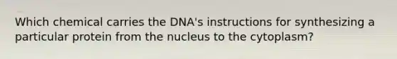 Which chemical carries the DNA's instructions for synthesizing a particular protein from the nucleus to the cytoplasm?