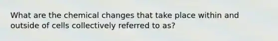 What are the chemical changes that take place within and outside of cells collectively referred to as?