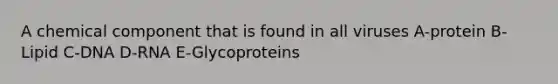 A chemical component that is found in all viruses A-protein B-Lipid C-DNA D-RNA E-Glycoproteins