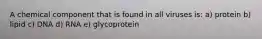 A chemical component that is found in all viruses is: a) protein b) lipid c) DNA d) RNA e) glycoprotein