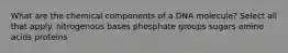 What are the chemical components of a DNA molecule? Select all that apply. nitrogenous bases phosphate groups sugars amino acids proteins