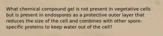 What chemical compound gel is not present in vegetative cells but is present in endospores as a protective outer layer that reduces the size of the cell and combines with other spore-specific proteins to keep water out of the cell?