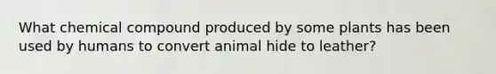 What chemical compound produced by some plants has been used by humans to convert animal hide to leather?