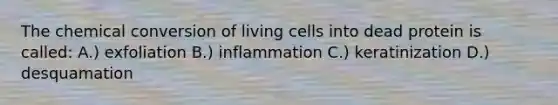 The chemical conversion of living cells into dead protein is called: A.) exfoliation B.) inflammation C.) keratinization D.) desquamation