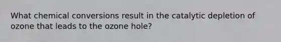 What chemical conversions result in the catalytic depletion of ozone that leads to the ozone hole?