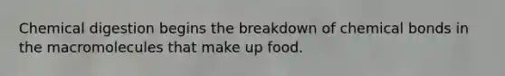 Chemical digestion begins the breakdown of chemical bonds in the macromolecules that make up food.