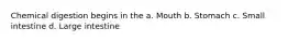 Chemical digestion begins in the a. Mouth b. Stomach c. Small intestine d. Large intestine