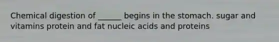 Chemical digestion of ______ begins in <a href='https://www.questionai.com/knowledge/kLccSGjkt8-the-stomach' class='anchor-knowledge'>the stomach</a>. sugar and vitamins protein and fat nucleic acids and proteins