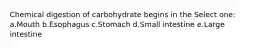 Chemical digestion of carbohydrate begins in the Select one: a.Mouth b.Esophagus c.Stomach d.Small intestine e.Large intestine