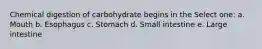 Chemical digestion of carbohydrate begins in the Select one: a. Mouth b. Esophagus c. Stomach d. Small intestine e. Large intestine