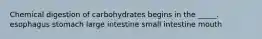 Chemical digestion of carbohydrates begins in the _____. esophagus stomach large intestine small intestine mouth