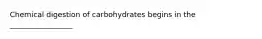 Chemical digestion of carbohydrates begins in the _________________