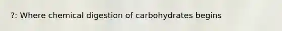 ?: Where chemical digestion of carbohydrates begins