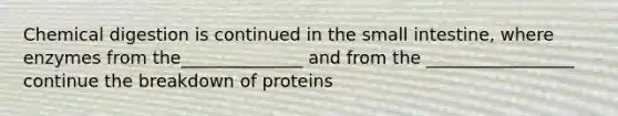 Chemical digestion is continued in the small intestine, where enzymes from the______________ and from the _________________ continue the breakdown of proteins